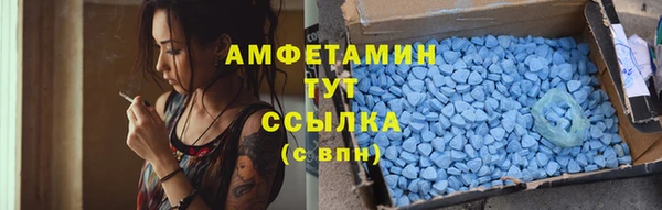 индика Кукмор