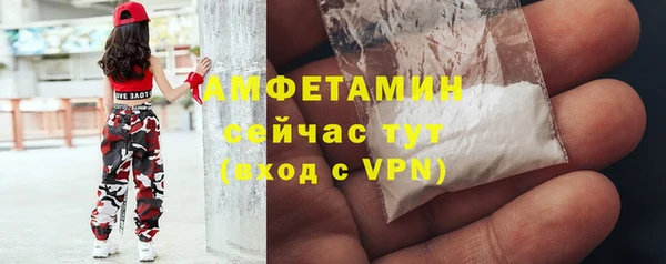 индика Кукмор