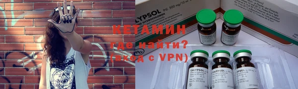 индика Кукмор