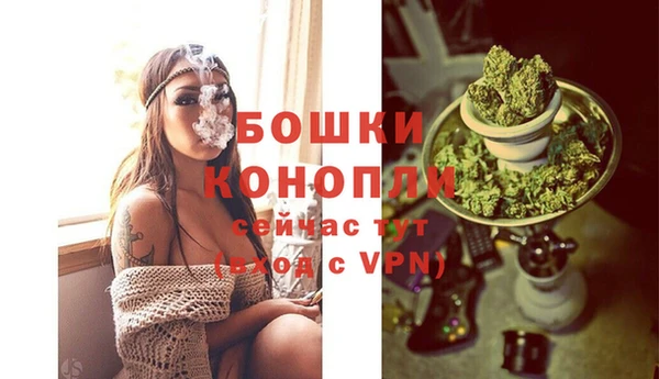 индика Кукмор