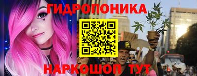 прущие грибы Краснознаменск