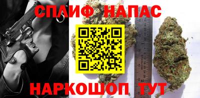 прущие грибы Краснознаменск