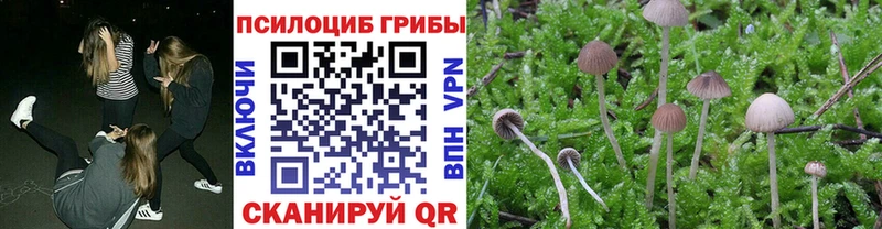 Галлюциногенные грибы ЛСД  Лиски 