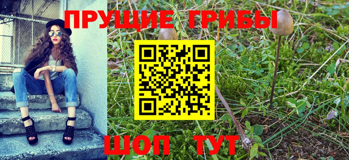 Лиски  Галлюциногенные грибы ЛСД  Вход с VPN 
