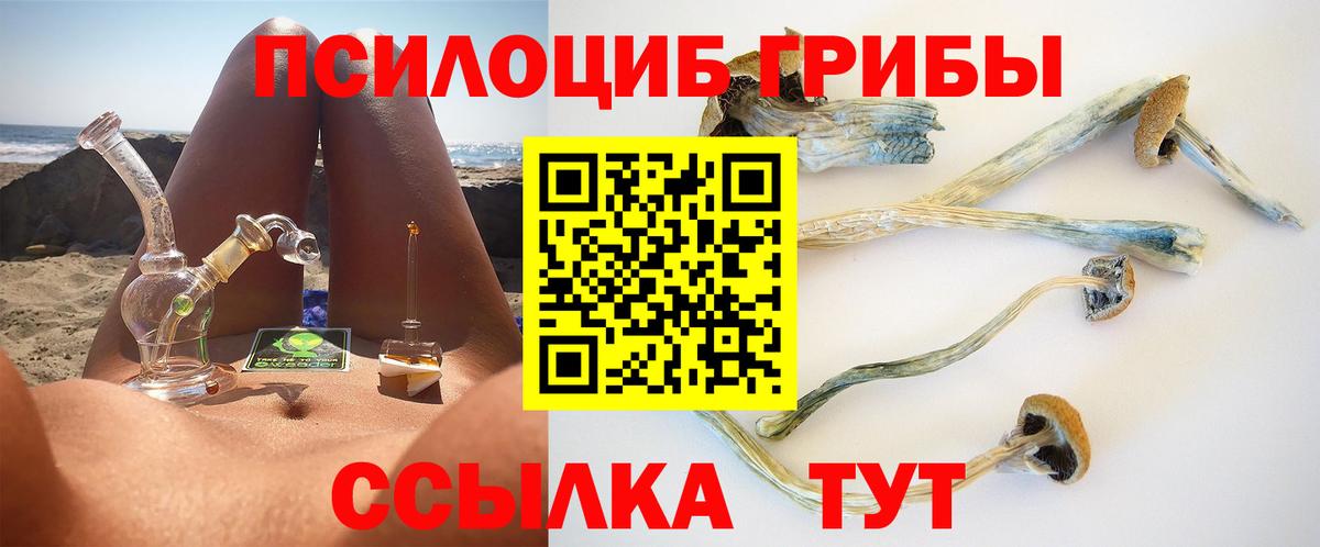 Галлюциногенные грибы Cubensis Лиски
